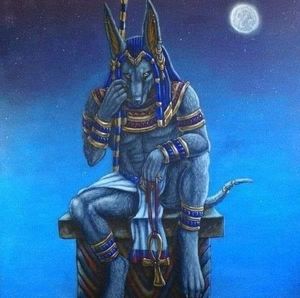 Meet your Posher, Andres